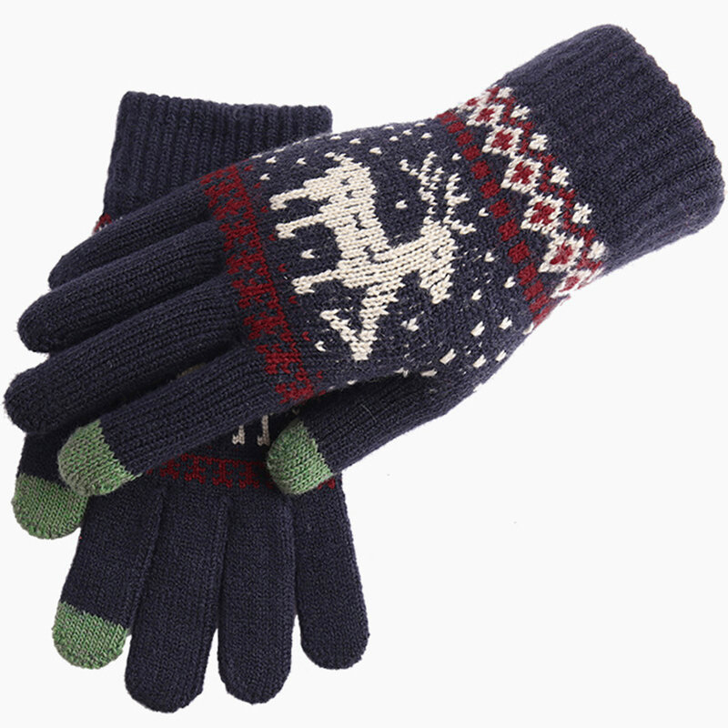 Wollen handschoenen Sobik - Blauw