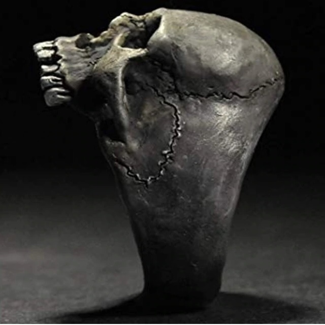 Schedel Ring-Zwart/67mm